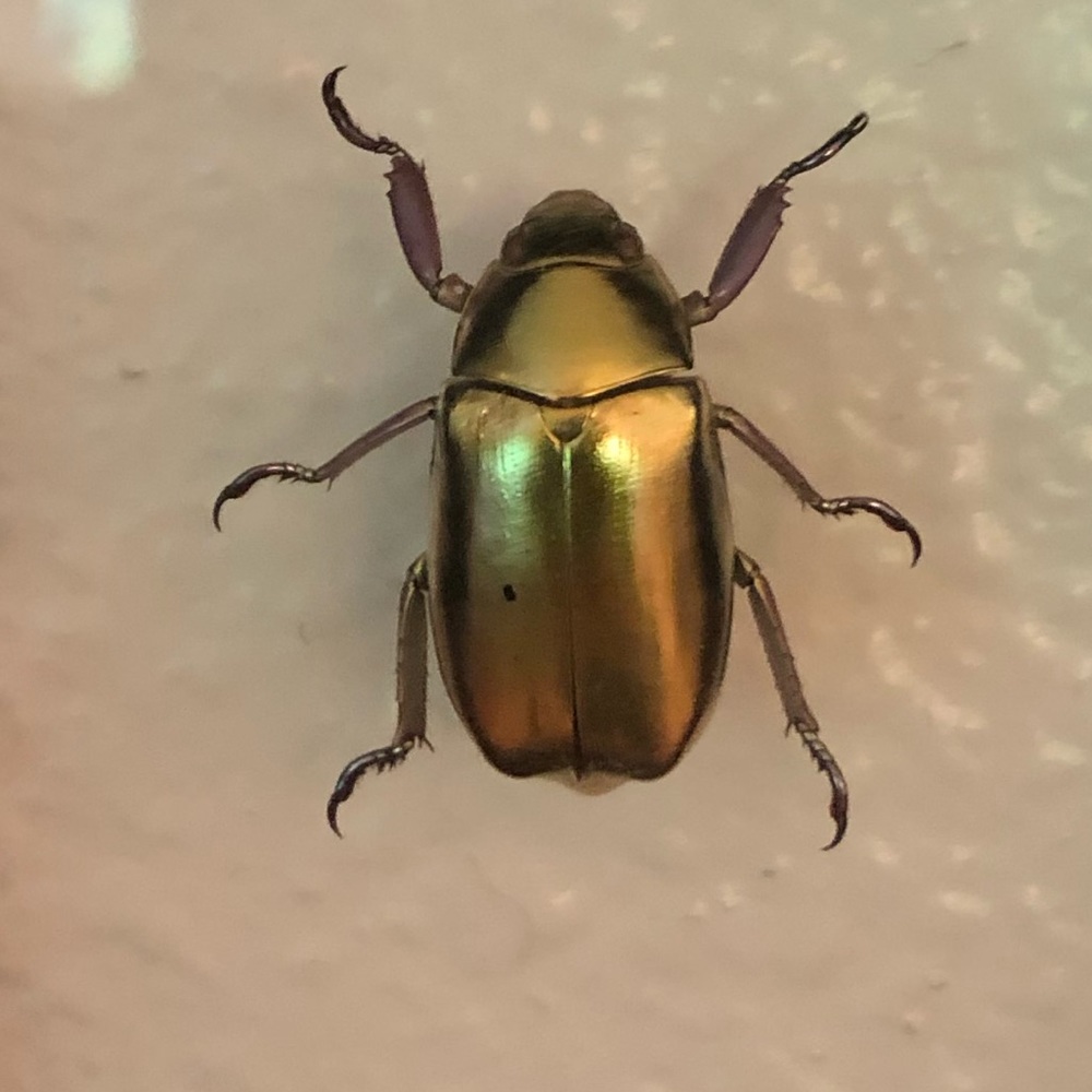 Meet your Posher, Katrina